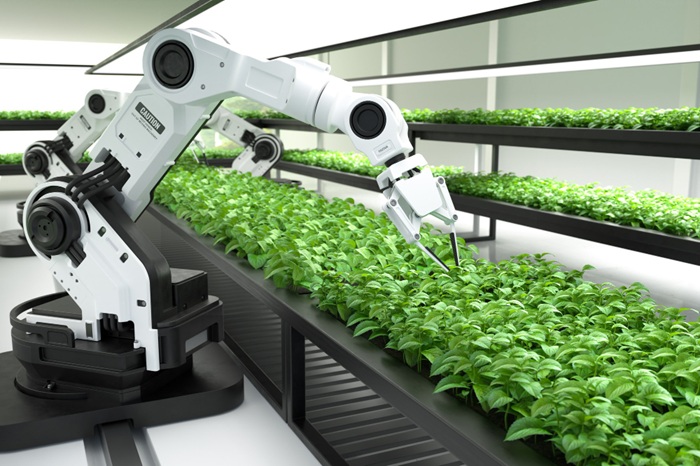 Robot untuk makanan